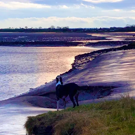 On The Solway Coast Port Carlisle